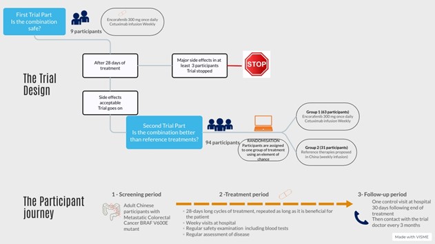 A trial to evaluate whether encorafenib in combination with